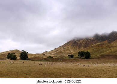 Craggy Range Napier NZ