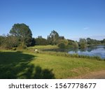 craigavon lake and park on a bright sunny day