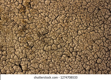 Crak Desert Floor