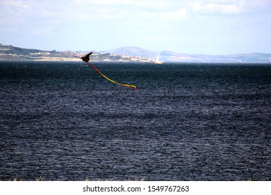 Cramond coast, Edinburgh, Scotland, 17 August 2019, kite flying opposit the Cramond Island coast near Edinburgh
