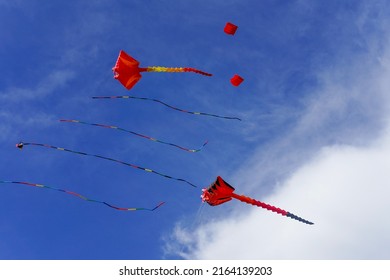 Cramp-fish Shaped Red Kites Flying In The Blue Sky