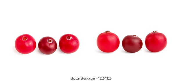 Cranberries Against A White Background