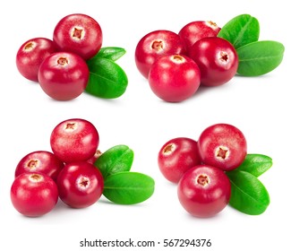 cranberries collection isolated on white Clipping Path - Shutterstock ID 567294376