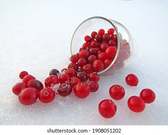 Cranberries In A Glass On The Snow