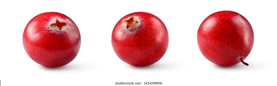 Cranberries isolated. Cranberry on white. Full depth of field. With clipping path. - Shutterstock ID 1414598906