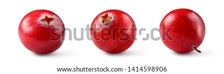 Cranberries isolated. Cranberry on white. Full depth of field. With clipping path. Perfect not AI cranberry, true photo.