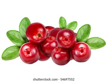 Cranberries  Isolated On White Background