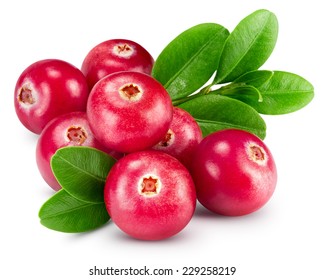 Cranberries Isolated On White Clipping Path 