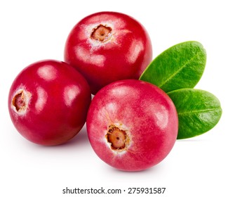 Cranberries Isolated On White Clipping Path