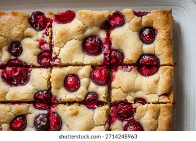 cranberry bars cut into rectangular pieces