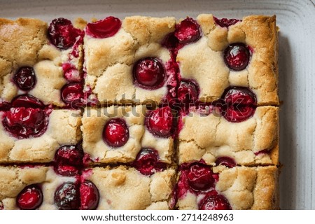 cranberry bars cut into rectangular pieces