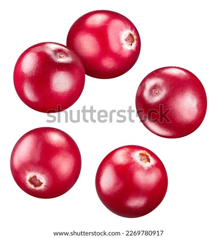 Cranberry berry. Cranberry isolated on white background. Cranberry clipping path