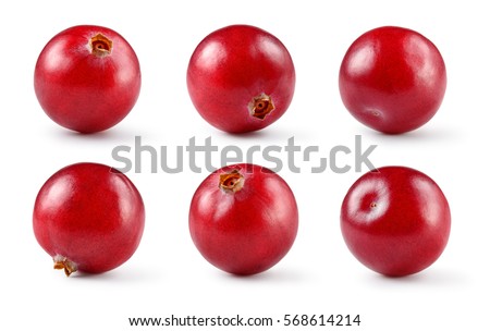 Cranberry. Berry isolated on white background. Collection. Full depth of field.