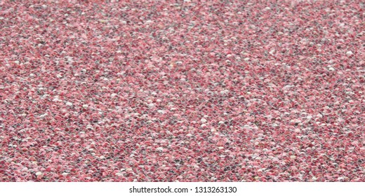 Cranberry Bog In New Jersey