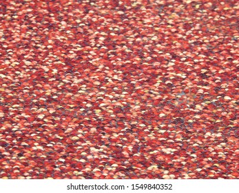 Cranberry Bog In New Jersey Pine Barrens