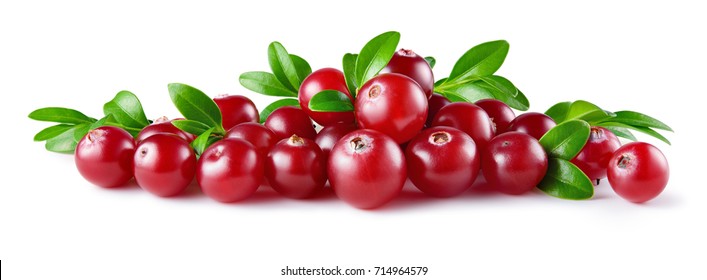 Cranberry. Cranberries With Leaves Isolated. Fresh Cranberry. Full Depth Of Field.