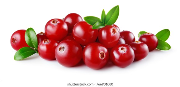 Cranberry. Cranberries with leaves isolated. Fresh cranberry. Full depth of field. - Shutterstock ID 766931080