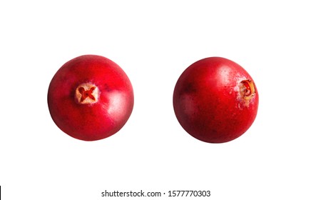 Cranberry. Cranberrys einzeln auf weißem Hintergrund. Vollständige Feldtiefe. Makro, Draufsicht Cranberry