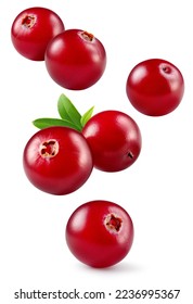 Cranberry isolated. Cranberries flying on white background. Cranberry berries with leaf falling. Full depth of field.