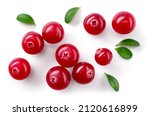 Cranberry isolated. Cranberries with leaves on white background. Cranberry berries top view with clipping path. Full depth of field.