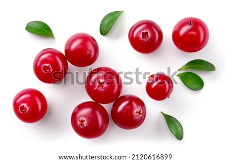Cranberry isolated. Cranberries with leaves on white background. Cranberry berries top view with clipping path. Full depth of field. Perfect not AI cranberry, true photo.