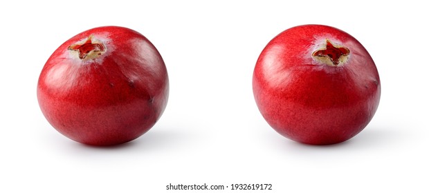Cranberry isolated. Cranberries on white background. Cranberry set with clipping path. Full depth of field.