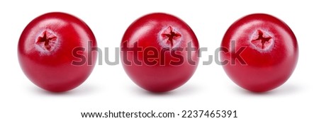 Cranberry isolated. Cranberries on white background. Cranberry berries with clipping path. Full depth of field. Perfect not AI cranberry, true photo.