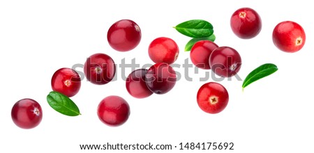 Cranberry isolated on white background with clipping path, berry collection, fresh falling cranberries with leaves