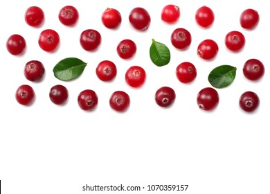 Red cranberry Cranberry Red