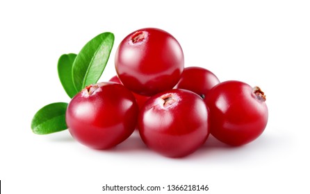 Cranberry With Leaves. Cranberries Isolated On White. Full Depth Of Field.