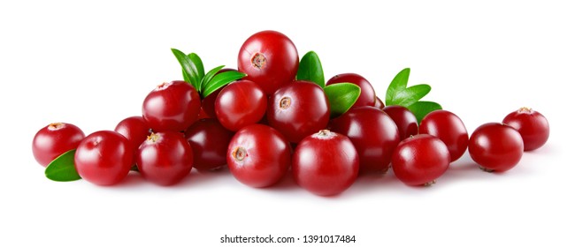 Cranberry with leaves isolated. Cranberries on white. Full depth of field. - Shutterstock ID 1391017484