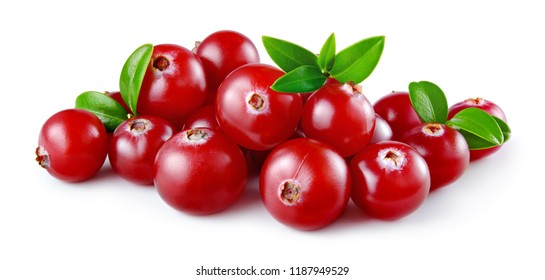 Cranberry With Leaves Isolated On White Background. Cranberries. Full Depth Of Field.