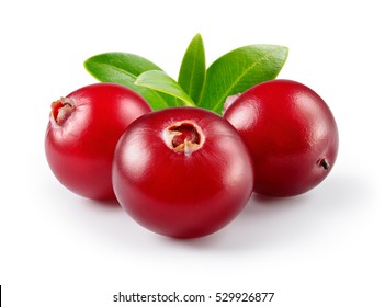 Cranberry with leaves isolated on white. With clipping path. Full depth of field. - Shutterstock ID 529926877