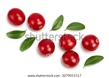 Cranberry with leaves isolated on white background with clipping path and full depth of field. Top view. Flat lay