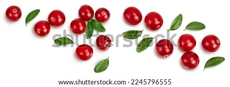 Cranberry with leaves isolated on white background with full depth of field. Top view with copy space for your text. Flat lay