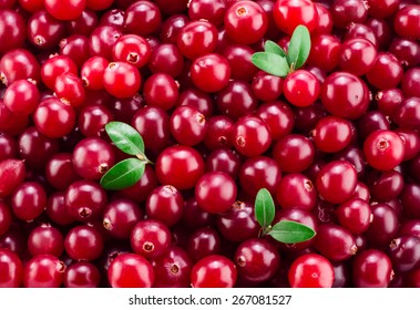 Cranberry with leaves. Red background. - Shutterstock ID 267081527