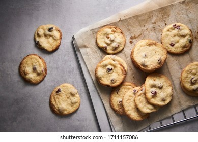 Cranberry And White Chocolate Cookies Still Life