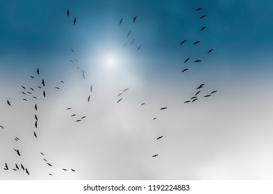 Crane birds on their flight to the South form a swarm formation - Shutterstock ID 1192224883