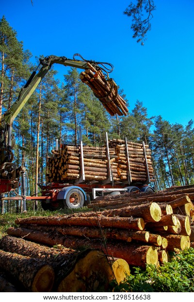 Crane in forest loading logs in\
the truck. Timber harvesting and transportation in forest.\
Transport of forest logging industry and forestry\
industry.\
\
