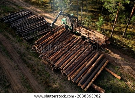 Crane forwarder machine during clearing of forested land. Wheeled harvester transports raw timber from felling site out. Harvesters, Forest Logging machines. Forestry forwarder on deforestation.