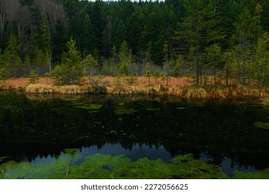 El lago Crane, ubicado en Ucrania, es una instantánea.
Self único