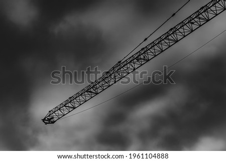 Crane Reaching the Cloudy Sky