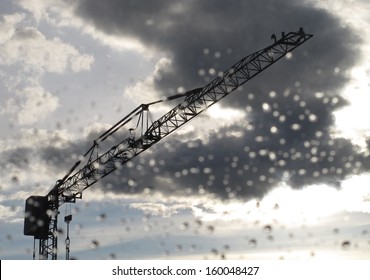 crane in the storm 