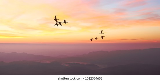 Cranes flying at sunrise over the foggy mountains in the wild. Migrating cranes. Nature migration. Wonderful freedom world. Environment protection. Travel concept - Shutterstock ID 1012334656