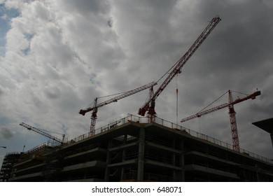 Cranes in the sky