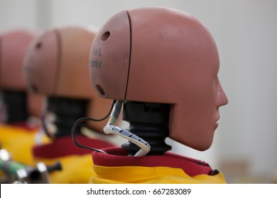 Crash Test Dummies in the Laboratory of a Car Manufacturer in Japan. - Shutterstock ID 667283089
