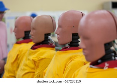 Crash Test Dummies in the Laboratory of a Car Manufacturer in Japan.