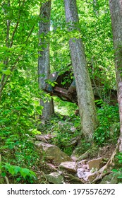 Crashed Moonshine Truck In Amicalola Falls