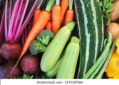 Crate of fresh harvested vegetables: carrot, beetroot, broccoli, zucchini, bean, potato