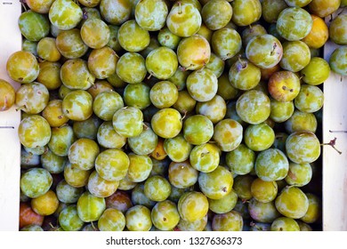 Crate Of Geen Gage Plums (reine Claude) At A Farmers Market